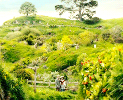 glorfindhel:  lotr meme: three races [1/3] → hobbits 