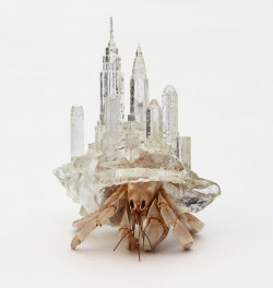 ryanpanos:  Architectural hermit crab habitats by Aki Inomata via Designboom japanese artist aki inomata creates intricately crafted plastic habitats for hermit crabs, which are influenced by the architecture of major cityscapes — the new york city