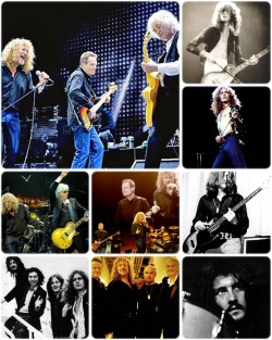 sarahlaststand:Led Zeppelin 4Ever ♥