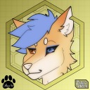 zyruswolf avatar