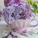 fleur-aesthetic:instagram | julia_ok8