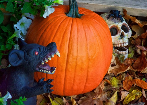 mdeanstrauss:But I love Halloween, and I love that feeling: the cold air, the spooky dangers lurking