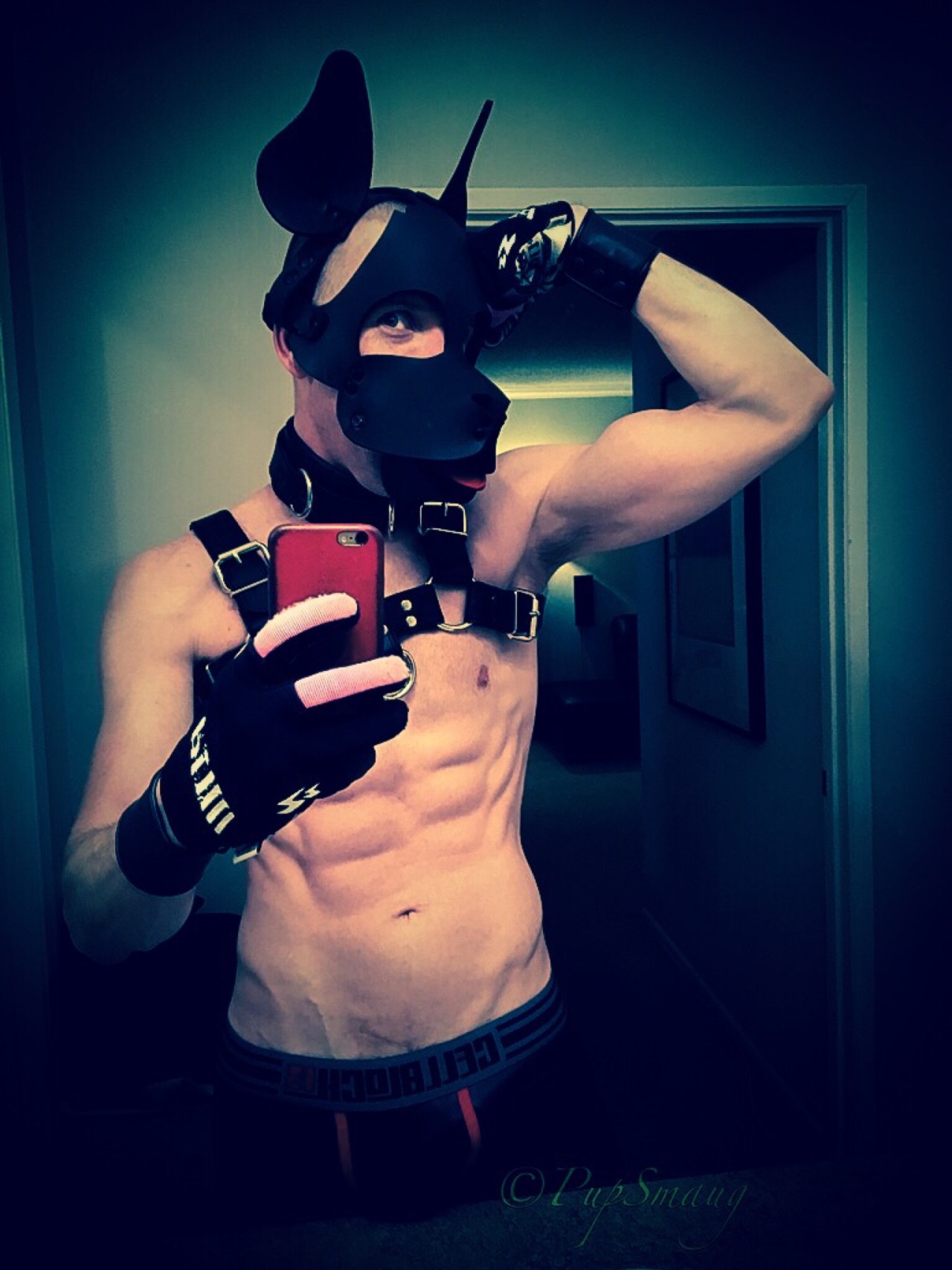 kinkyboyfrance:  pupsmaug:  🐶Arooo. Pup having a great new year. Wags to all my