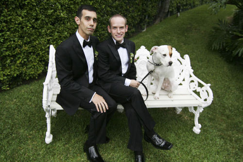 Garfield hated Mondays, but even he would love this slide show of pets in formal wedding gear + tips