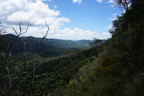 Lamington National Park - hiking makes us hungry :)