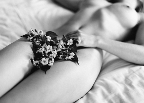 almavio: Elizaveta Dushechkina ©