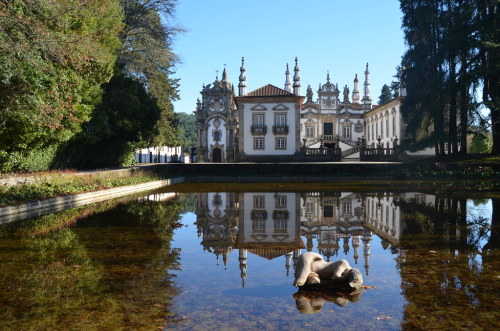 allthingseurope:Mateus Palace, Portugal (by Pedro)