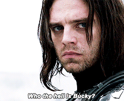 you the hell is bucky