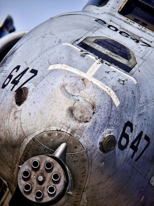michell169:  A-10 