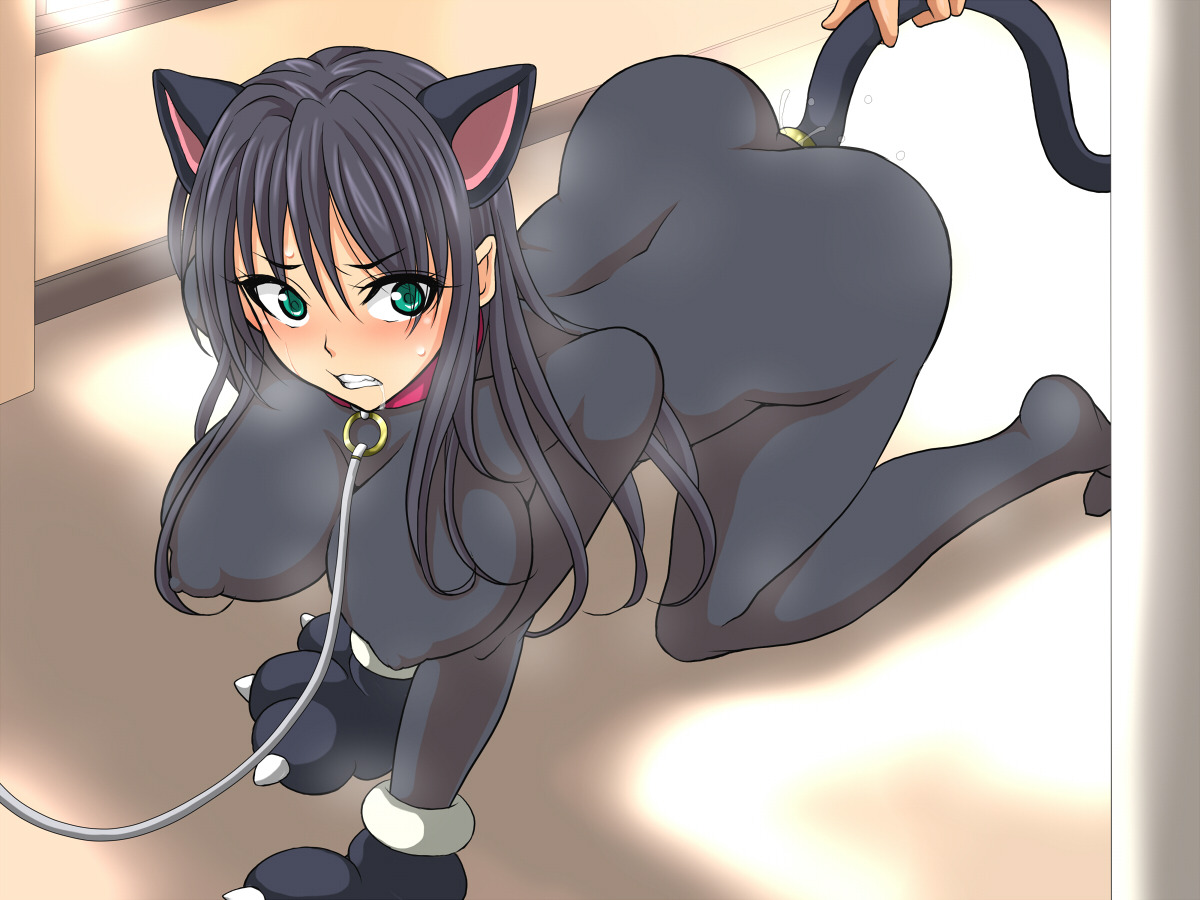 Sexy catgirls and stuff