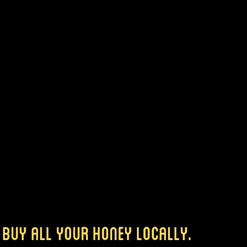 nonbinarypastels:  [Image Description: A yellow color block and black color block in a vertical row with text that reads “destroy the gender binary and support the bees / buy all your honey locally”]