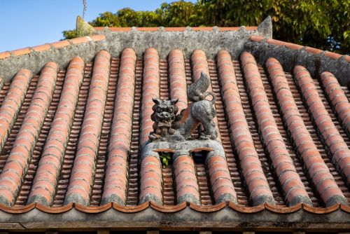 Okinawa’s iconic shīsā resemble exotic lions and have been part of the unique culture of the R