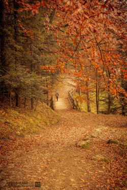 etherealvistas:  Man on the bridge (Poland)