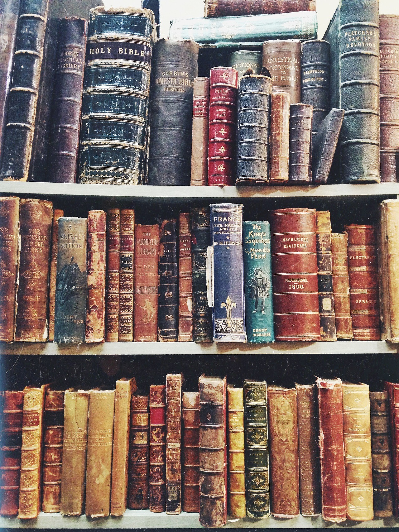 gingerbbatch:  books for sale in the camden market, london 