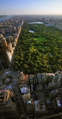 newyorkcityfeelings:  Central Park by   new-york-obsession #nyc 