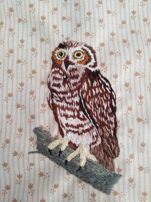 Hand-embroidered Owlinstagram: @beebordandoetsy: @beebordando(don’t remove caption)