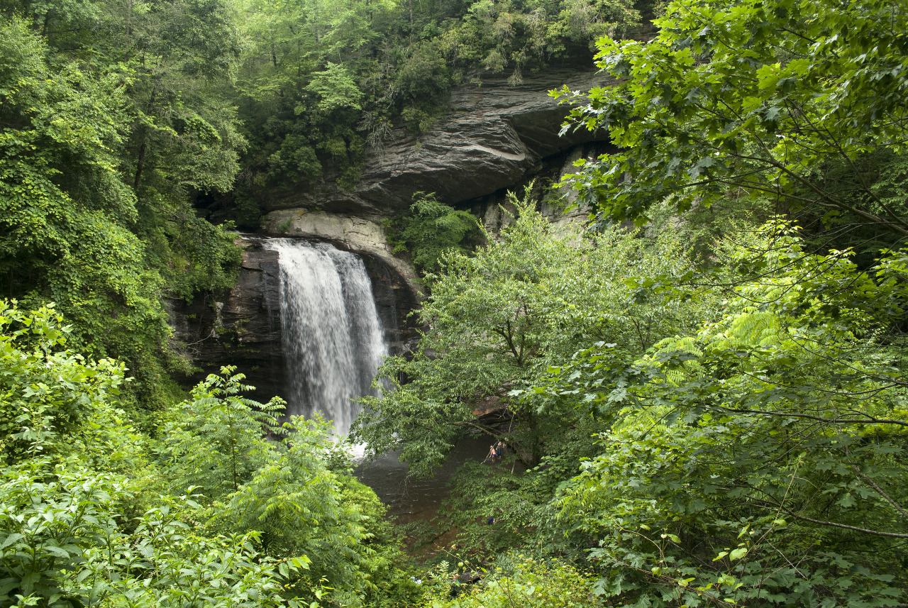 Looking Glass Waterfall, Pisgah Forest, North Carolina 2015