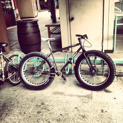 crazysincethe80s: The Moony is a non-giver of fucks. #bikes #beers #moonlander #hawaii #fatbike