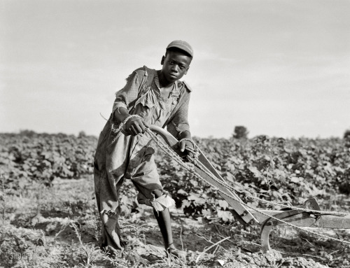 Photo by Dorothea Lange - Americus