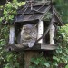 happyheidi:Cats in birdhouses ♡