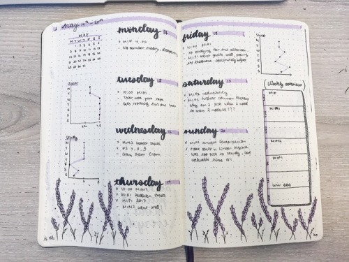 05/06/2018 My May bullet journal set up, aesthetics from Amanda RachLee! It includes some random mat