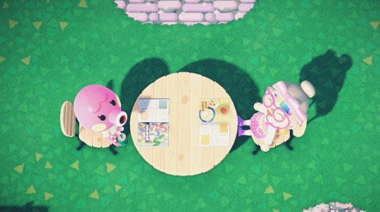 Just a few of my babies being cute and blending in with the aesthetic