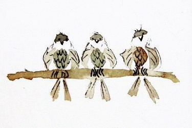 Stories Of Three Little Birdsfor @jkvjimin