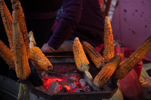 vivirenmexico:Elotes Asados