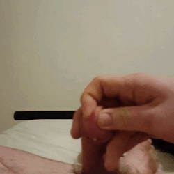 Kinkychefpup:morning Cum