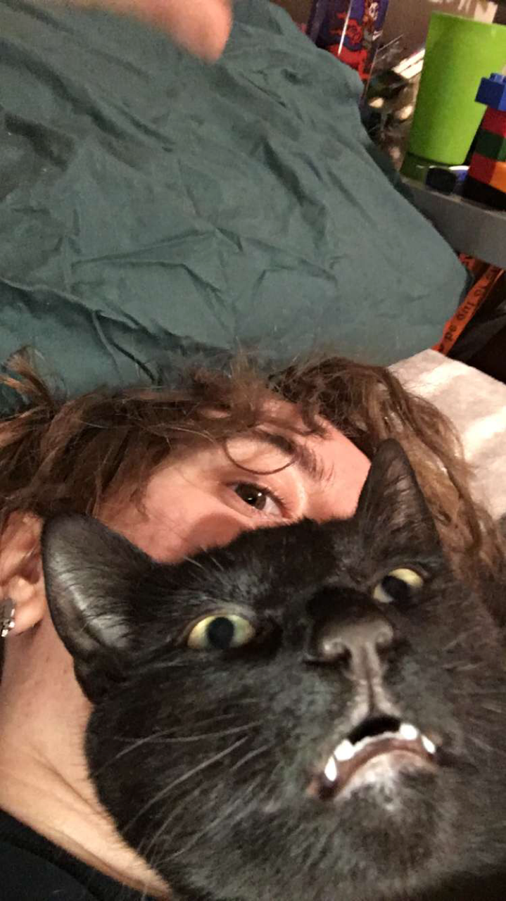 unflatteringcatselfies:  This is goose and I would say these photos are quite flattering