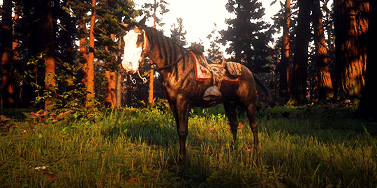 callmebonnie:★✪ My horses in Red Dead Online ✪★
