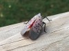 angelicguy:crusader-kings:trichoglossus:crusader-kings:Here’s a reminder to kill this fucker with no hesitation if you see them!For context: this is a spotted lanternfly, it is highly invasive in the US, and causes damage to crops and plants. If