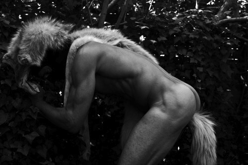 Gay Male Pagan & Wiccan Tribe