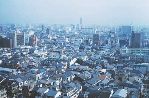 novemberschopin: Osaka by tammychou on Flickr.