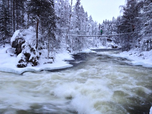 iamthefreakyrebel: Awesome winter in Kuusamo!