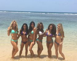 Fuckinghotcheerleaders:  Charlotte Hornets Dance Teamgroup Shotoriginal Image Via