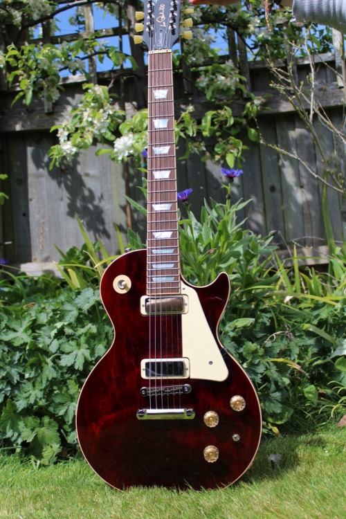 glorifiedguitars:  My New Gibson Les Paul Deluxe 100th Anniversary in Wine Red 
