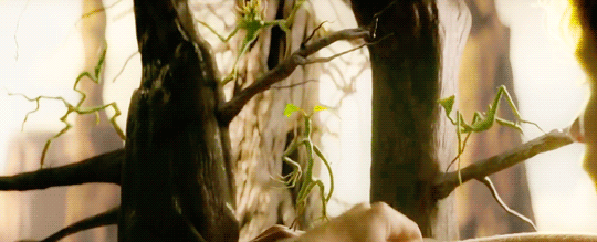 pottersource:#tbh i wouldn’t wanna leave newt’s side either 