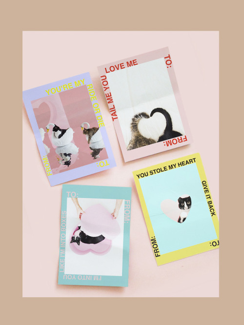 princesscheeto:Happy early Valentine’s Day! Here are some printable Cheeto Valentine’s Day cards jus