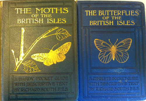 Moths, butterflies and spiders. 1930s editions.