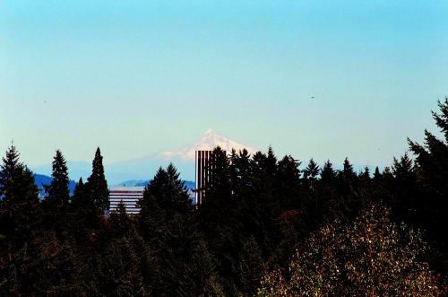 Mt. Hood from Washington Park, PDX