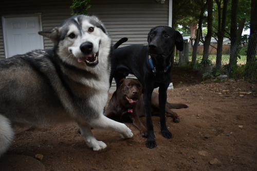 Playtime with my best friends!!