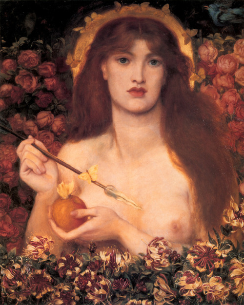 artist-rossetti: Venus Verticordia, Dante Gabriel RossettiMedium: oil,canvas