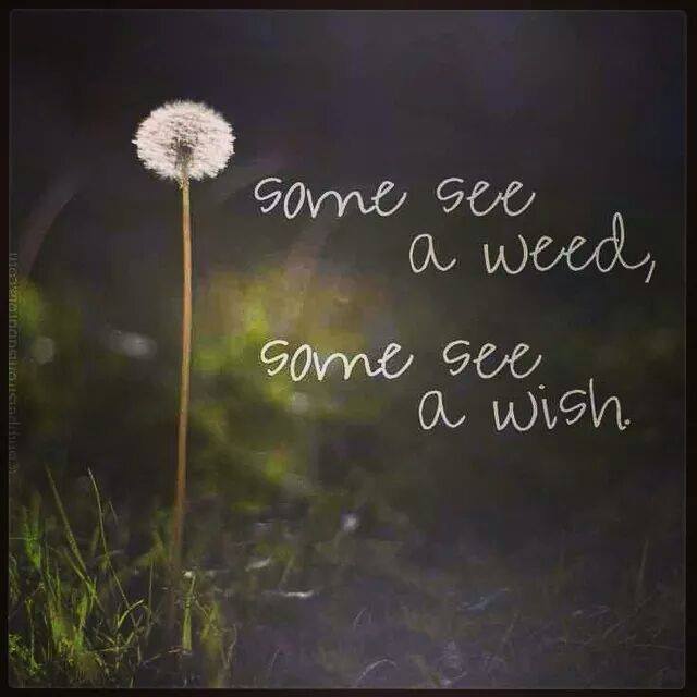 kelkel72:  Always a wish