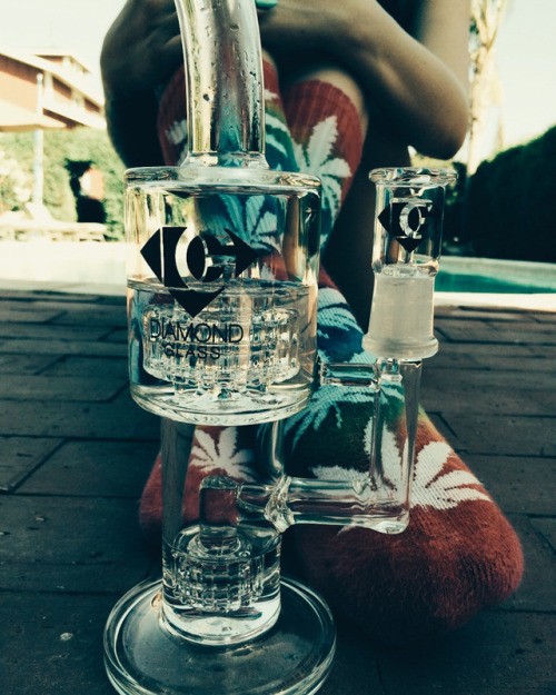 smkbrk:  💨 get high 🌳