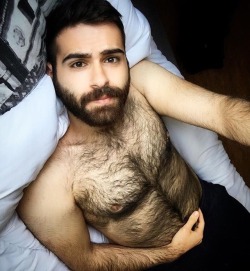 hairyfan1: ombusman: Handsome ☺ ☺ Furry