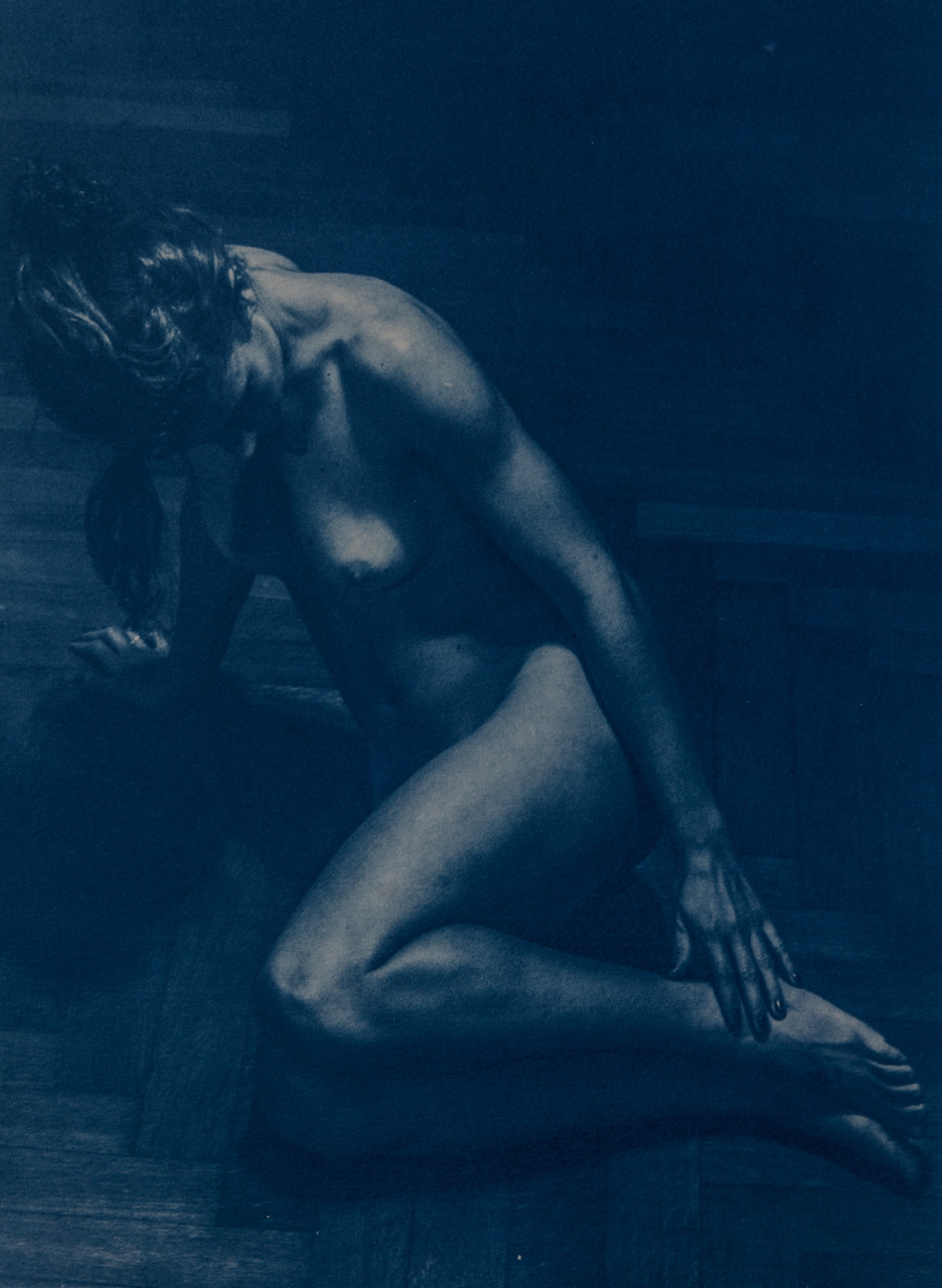 pierotoffano:  pierotoffano cyanotype post card 