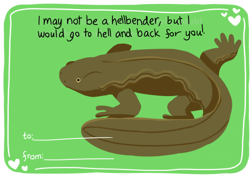 amphibianaday:some amphibian valentines! feel free ot use them :D(day 464)