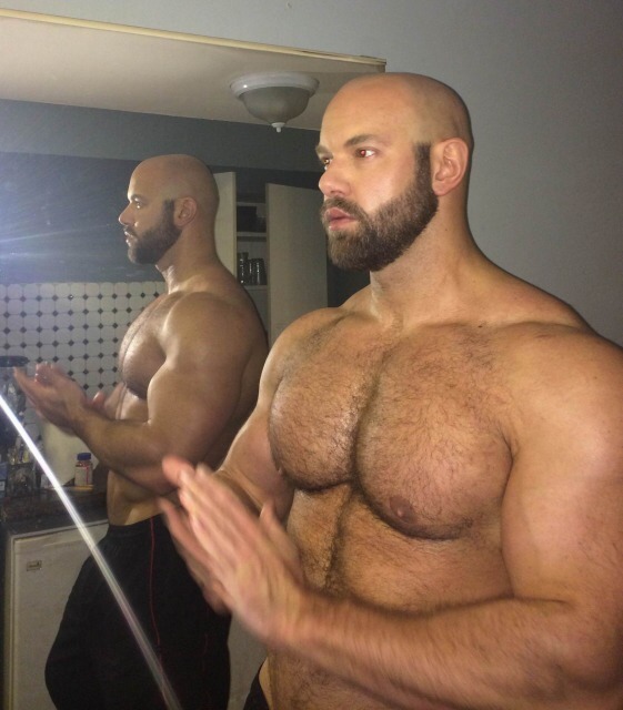 musclehank:  JJ Forte, muscle beast