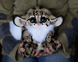 Dangerhamster:  So This Girl Designs And Makes Herself Her Own Fantasy Creatures